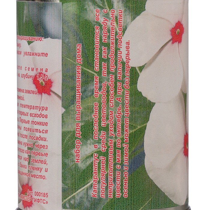 Растущая травка в банке "Катарантус леденцы"