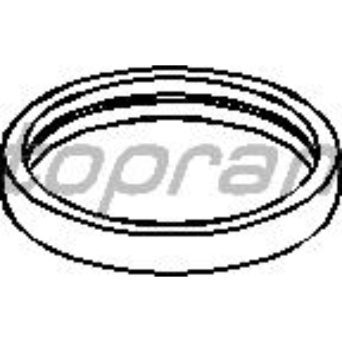 Прокладка термостата HANS PRIES 302261015