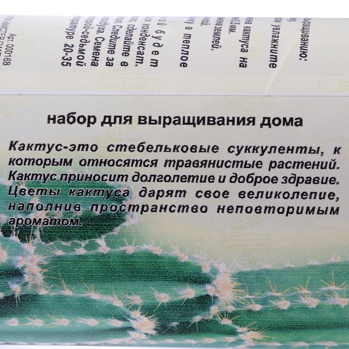 Растущая травка в банке "Кактус колючий"