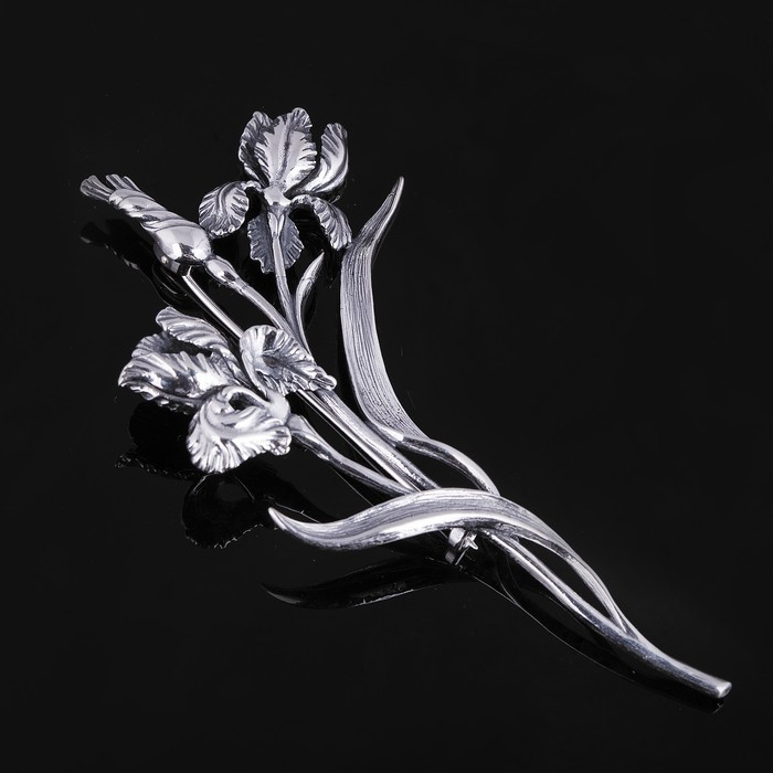 Брошь "Ксифиум", цвет чернёное серебро