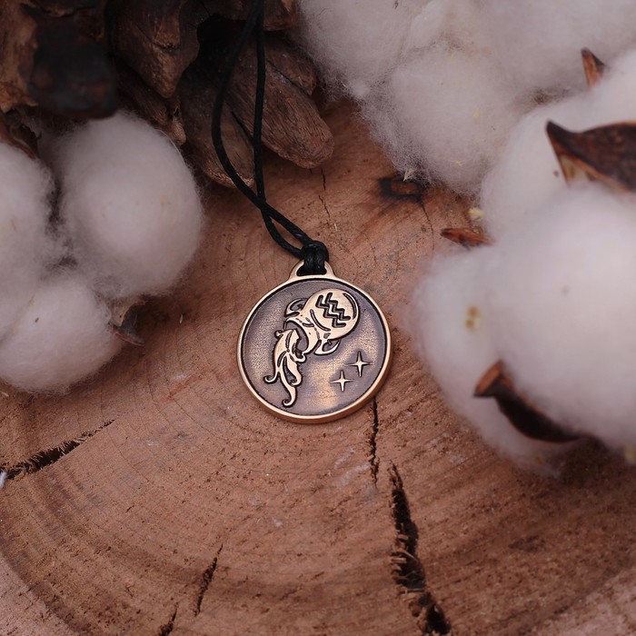 Талисман "Знак зодиака" водолей