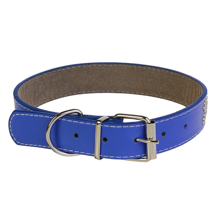 Ошейник морозостойкий украшенный "Косточки", 55 х 3 см, синий