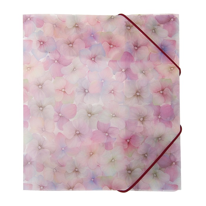 Папка на резинке А5+ Erich Krause Phloxes "Цветы"