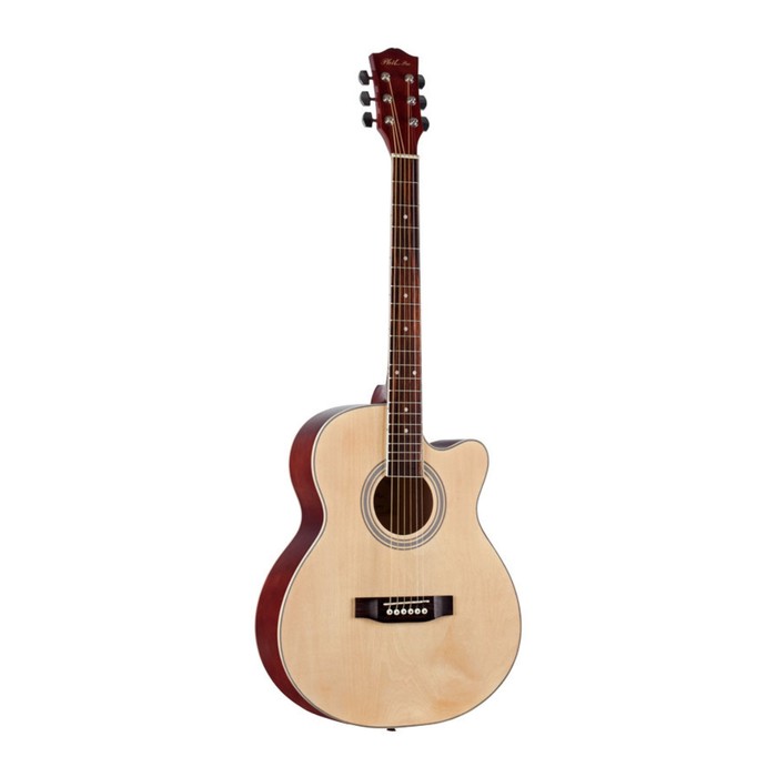 Акустическая гитара PHIL PRO AS - 4004 / N