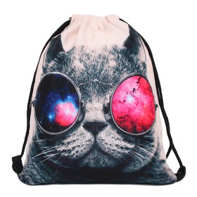

Сумка-мешок для сменной обуви Cat in glasses