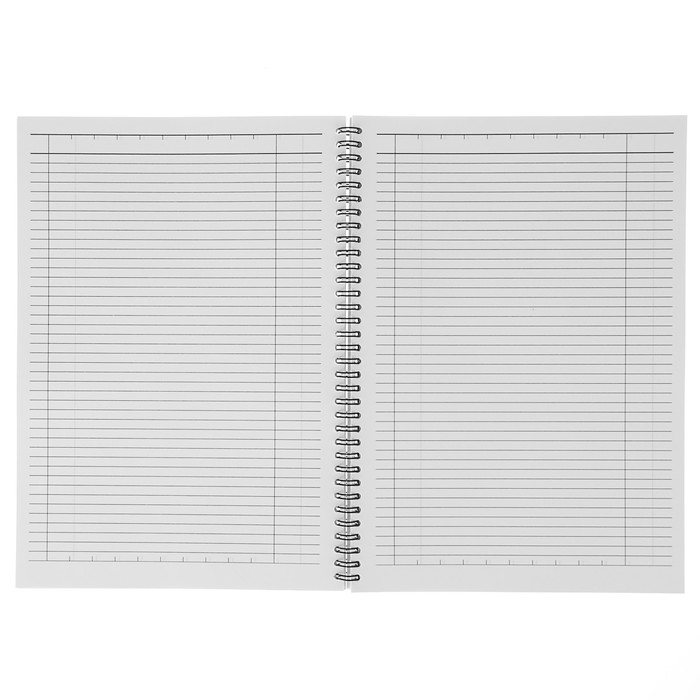 Книга учета А4, 90 листов линейка на гребне Erich Krause, матовая ламинация