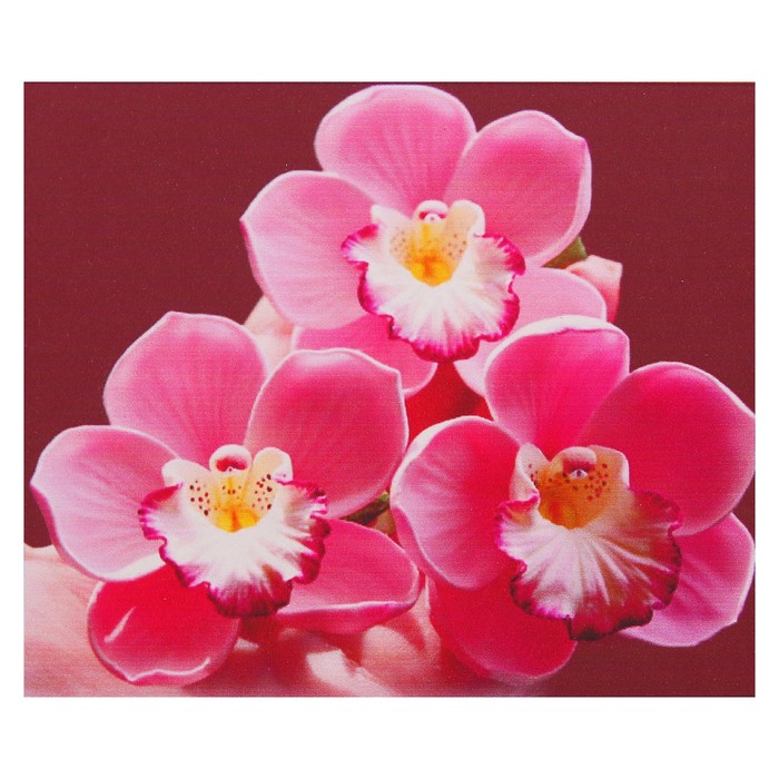 Алмазная мозаика "Розовая орхидея", 36 цветов