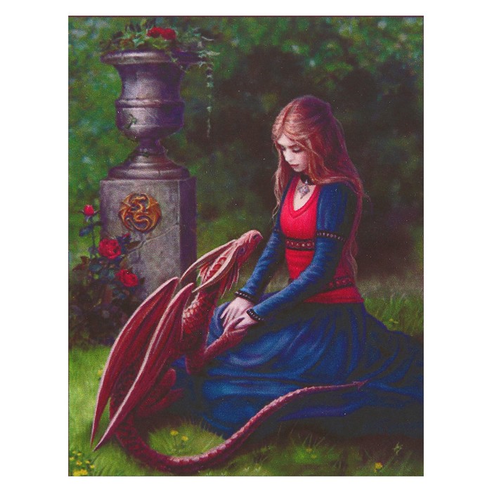 Алмазная мозаика "Девушка и Дракон", 40 цветов