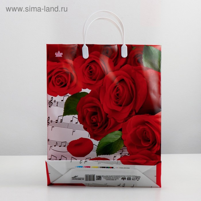 

Пакет "Пиано", мягкий пластик, 140 мкм , 40 х 30 см