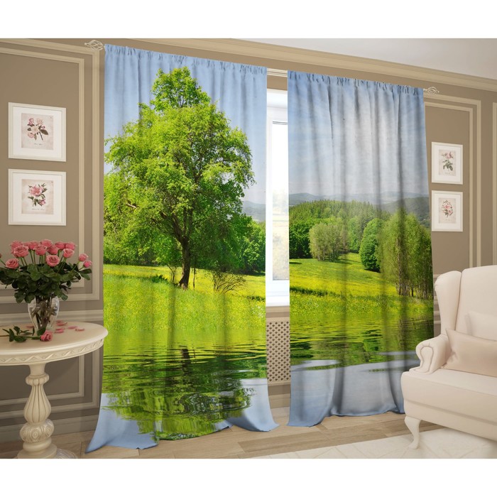 Комплект штор "Солнечная поляна", размер 145х267 см-2 шт., сатэн