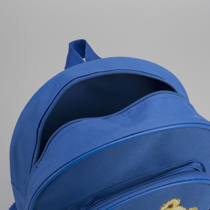 Рюкзак детский "Медвежонок", 1 отдел на молнии, наружный карман, цвет васильковый