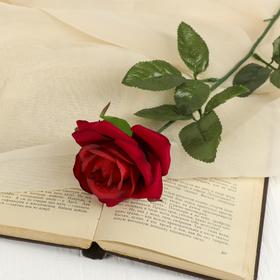 Цветы искусственные роза 56 см d-8,5 см красная Ош