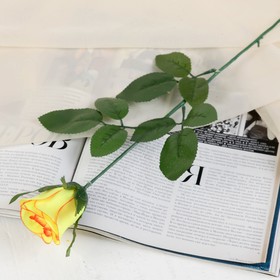 Цветы искусственные роза 53 см d-5 см желто-красная МИКС Ош