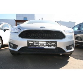 

Сетка на бампер внешняя для Ford Focus III 15-16, 2 шт, черн., 15 мм, кроме компл. Titanium
