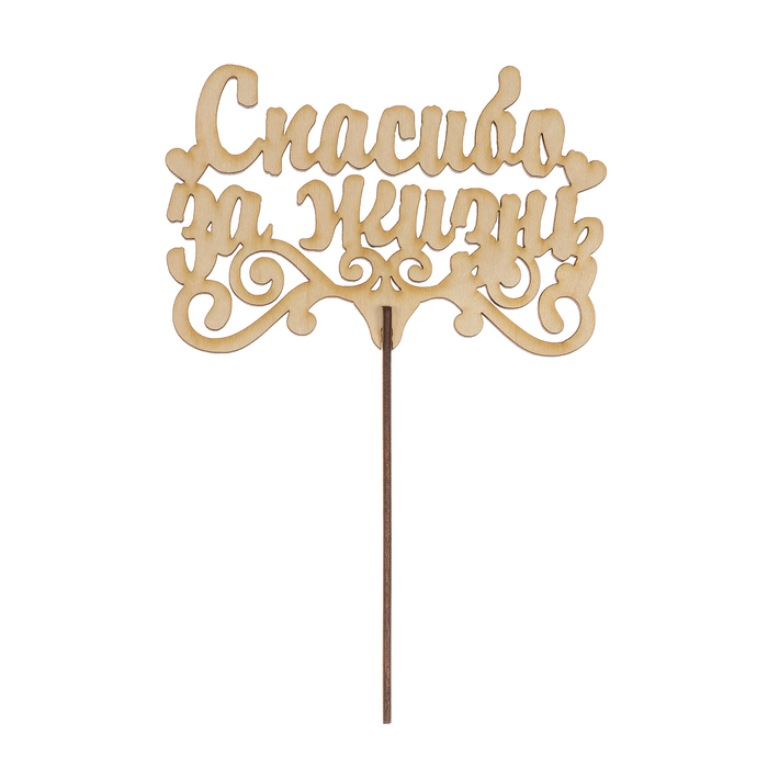 Топпер "Спасибо за жизнь" из фанеры, 14x9 см