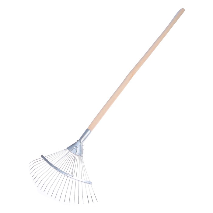 Грабли веерные, проволочные, 22 зубца, оцинкованные, деревянный черенок, 1 сорт