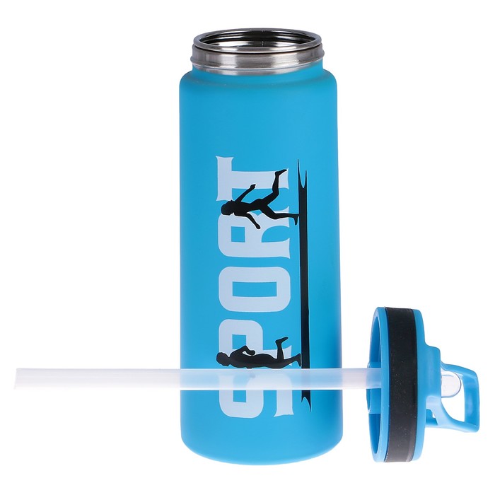 Бутылка для воды 700 мл Sport, нерж сталь, с поильником, микс, 8х22.5 см