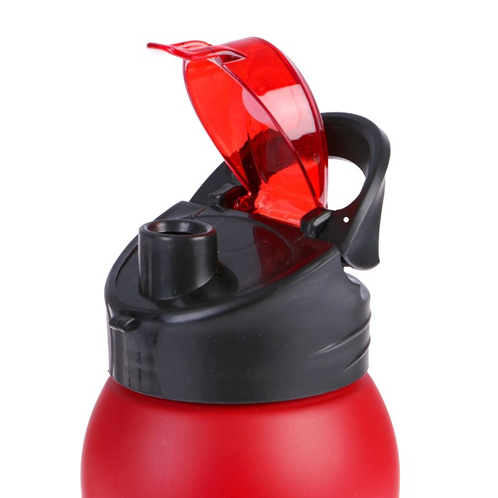 Бутылка для воды 800 мл Sport, нерж сталь, крышка на защёлке, микс, 7.5х23 см