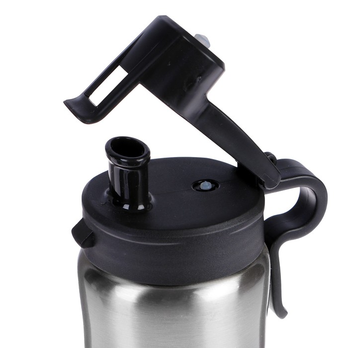 Бутылка для воды 750 мл Sport, нерж сталь, соска с крышкой, микс, 9.5х25 см