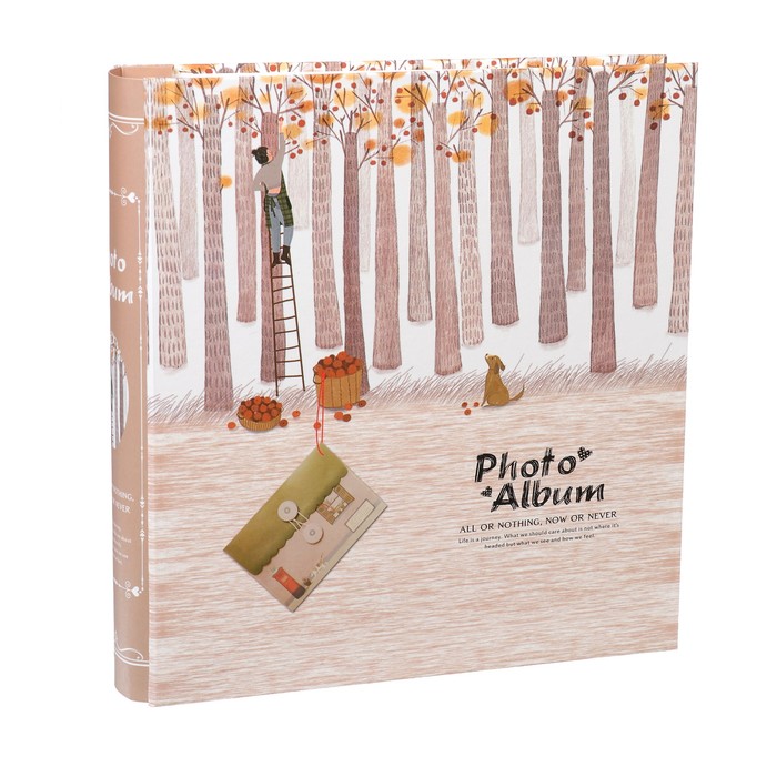 Фотоальбом на 100 фото 10х15 см "Прогулки по лесу" в коробке МИКС 26х24,5х6 см