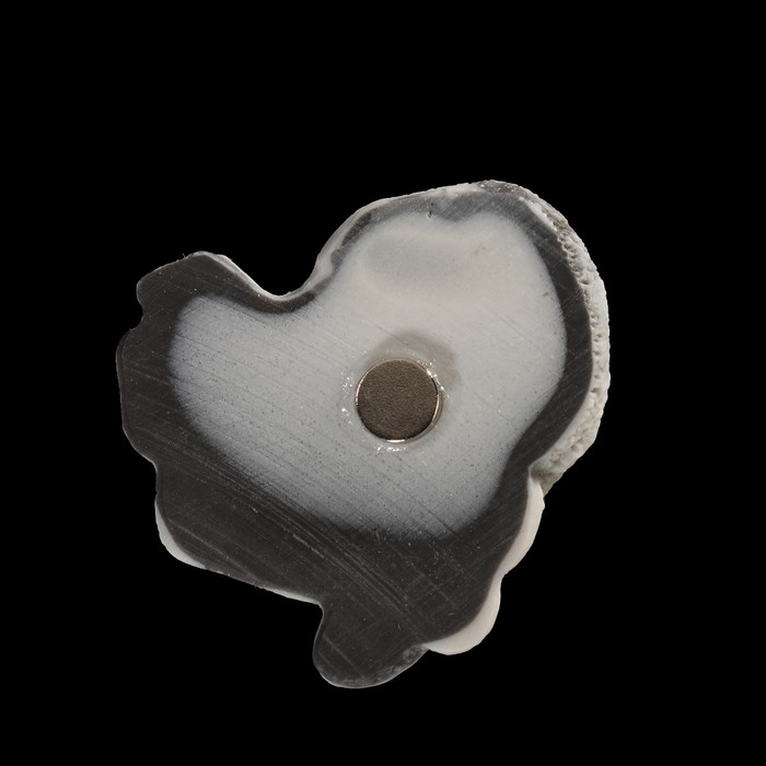 Магнит "Бобер (барельеф)" 3,6 см