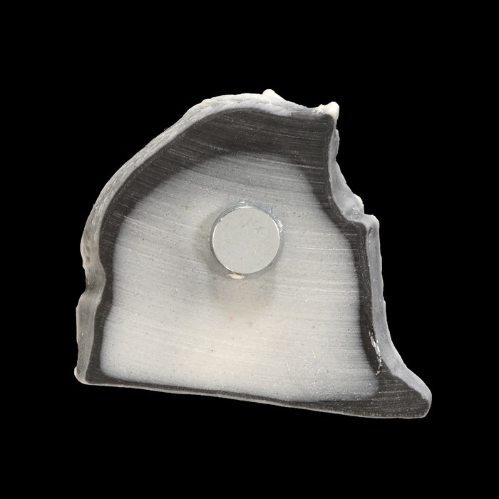 Магнит "Кабан у пня (барельеф)" 3,8 см