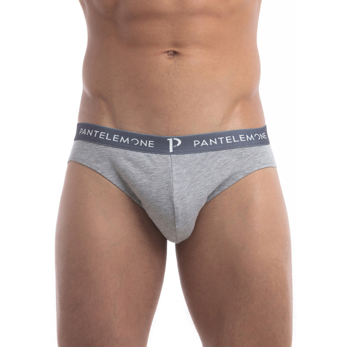 Набор трусов мужских плавки (2шт) PMP-105 цвет серый, р-р 54