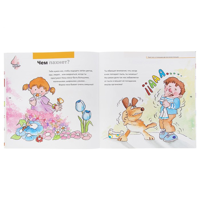 «Твоё тело: от макушки до кончиков пальцев»