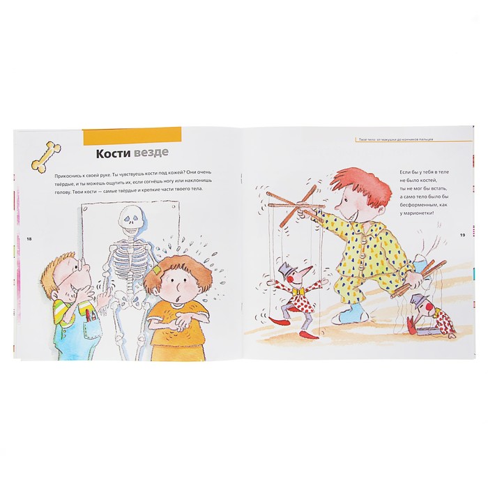 «Твоё тело: от макушки до кончиков пальцев»