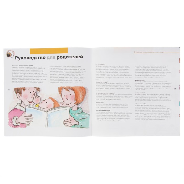 «Твоё тело: от макушки до кончиков пальцев»