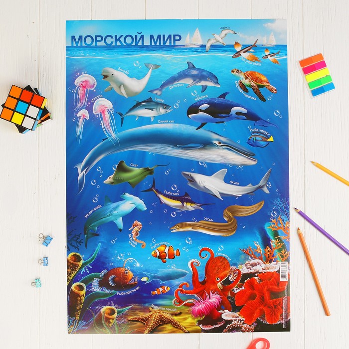 Плакат обучающий "Морской мир", А2