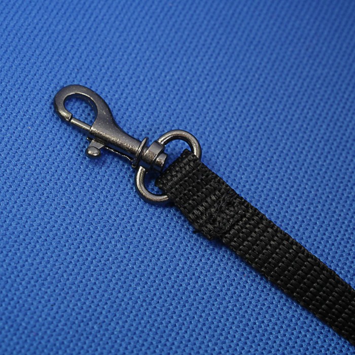 Сумка для автоперевозок животных с креплением для ремня безопасности, 40х25х33 см, оксфорд