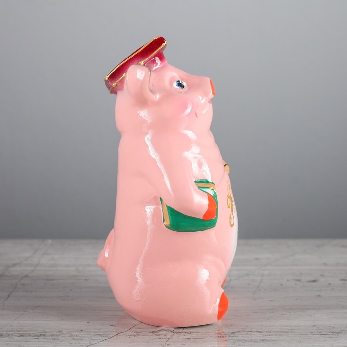 Копилка "Поросёнок с дипломом" малая, глянец