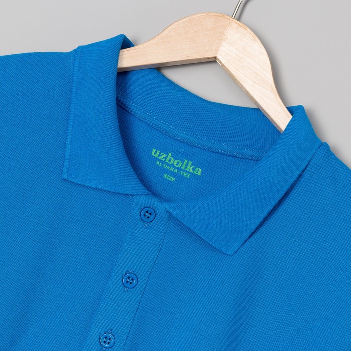 Футболка поло мужская арт.PM0110301031StandartL, цвет синий, р-р 48-50 (L)