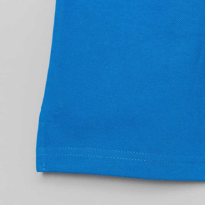 Футболка поло мужская арт.PM0110301031StandartL, цвет синий, р-р 48-50 (L)