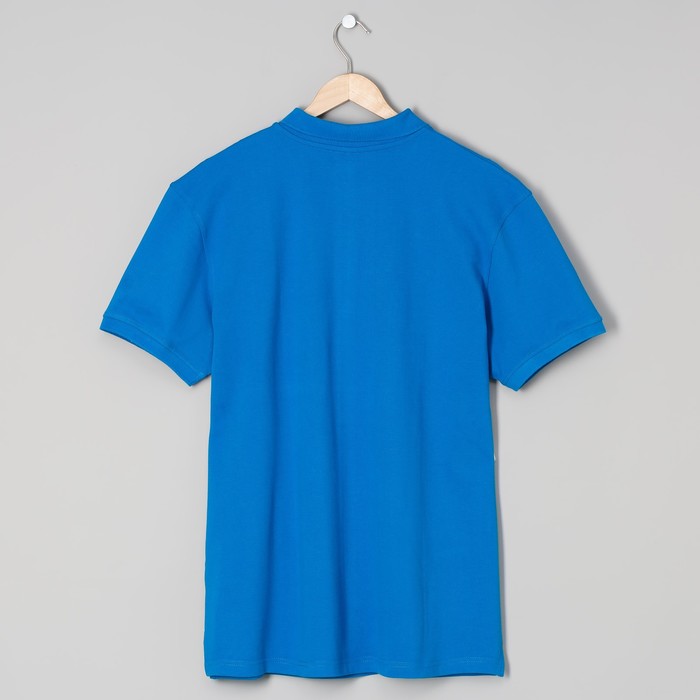 Футболка поло мужская арт.PM0110301031StandartL, цвет синий, р-р 48-50 (L)