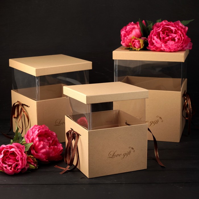 Набор коробок 3в1, 24 х 24 х 18 - 19 х 19 х 14 см