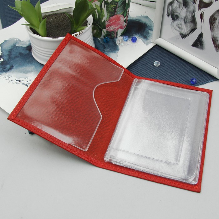 Обложка для автодокументов, доллар, цвет алый