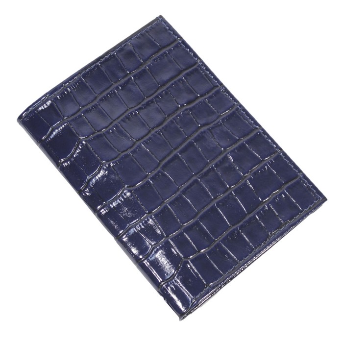 Обложка для паспорта, цвет синий