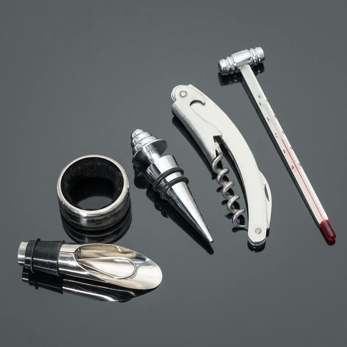 Набор для вина "Бэйсик", 5 предметов: штопор, 2 пробки, каплеуловитель, термометр