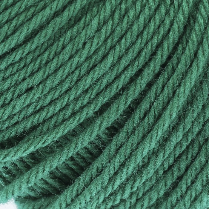 Пряжа "Детский каприз тёплый" 50%меринос. шерсть, 50%фибра 125м/50гр (511 зелёнка)