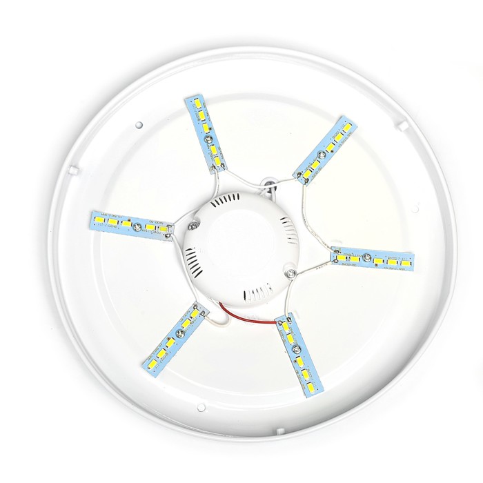 Светильник светодиодный Luazon Lighting E-23, 14 Вт,300 мм,910 Лм,4000К,IP40,220В "ГЛОРИЯ"