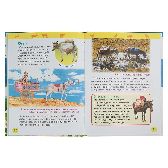 Энциклопедия для детского сада «Животные фермы»