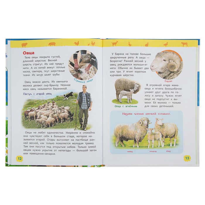 Энциклопедия для детского сада «Животные фермы»