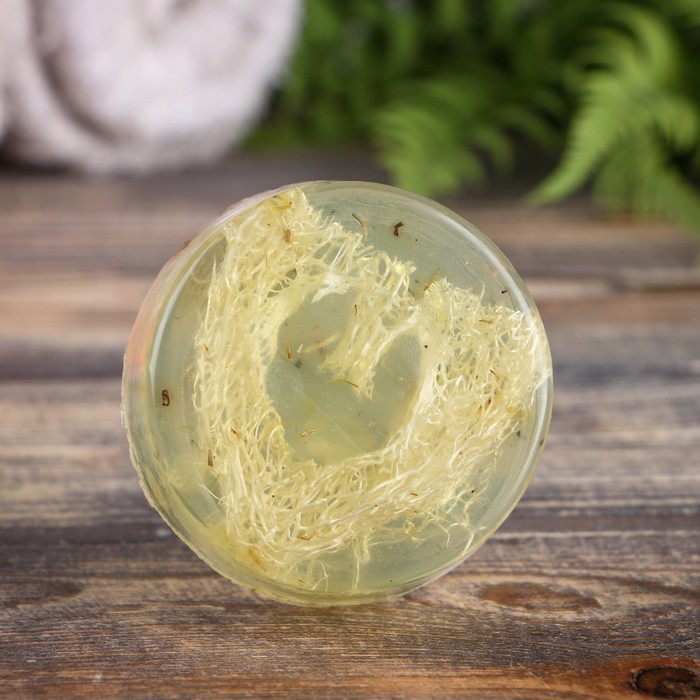 Мыло с мочалкой из люфы "Кавказские травы с чистотелом", "Добропаровъ", 80 гр