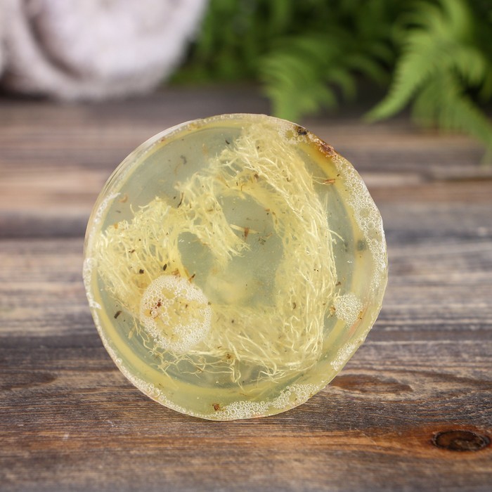 Мыло с мочалкой из люфы "Кавказские травы с чистотелом", "Добропаровъ", 80 гр