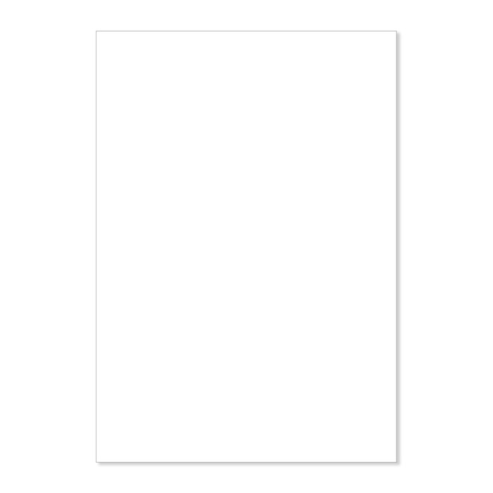 Картон цветной 680*480мм Herlitz 400г/м² белый 235994
