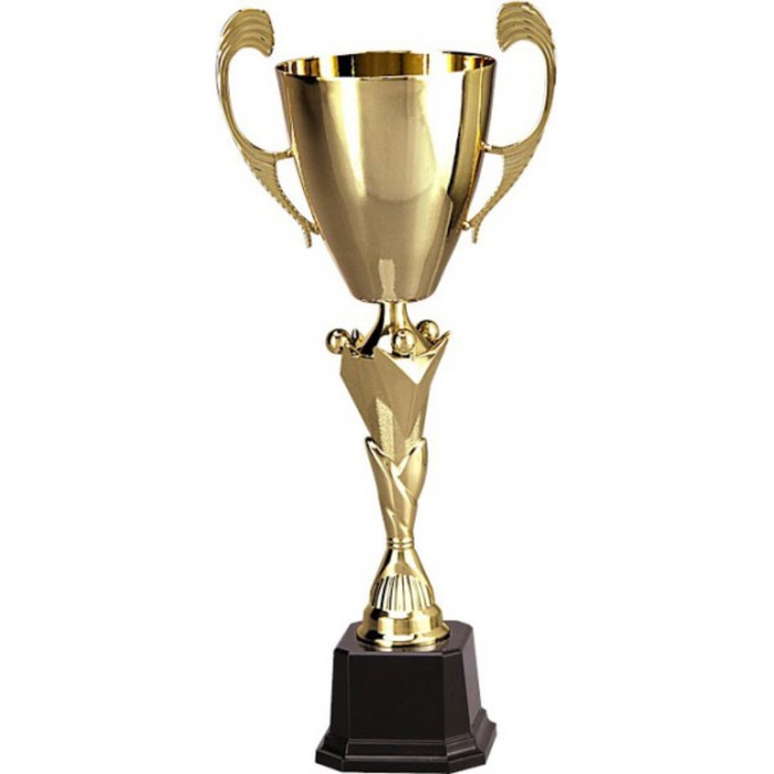 Кубок  3083 E, h=35 см, d=100 мм