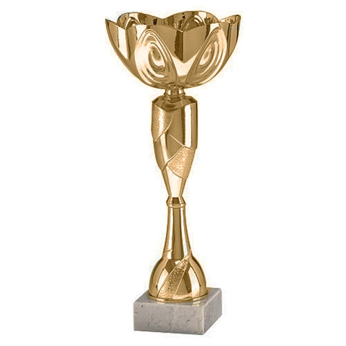 Кубок  9024 D, h=25 см, d=100 мм