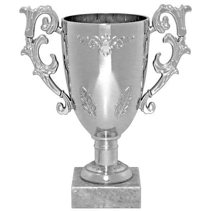 Кубок , HB 4116 A, h=20 см, d=100мм